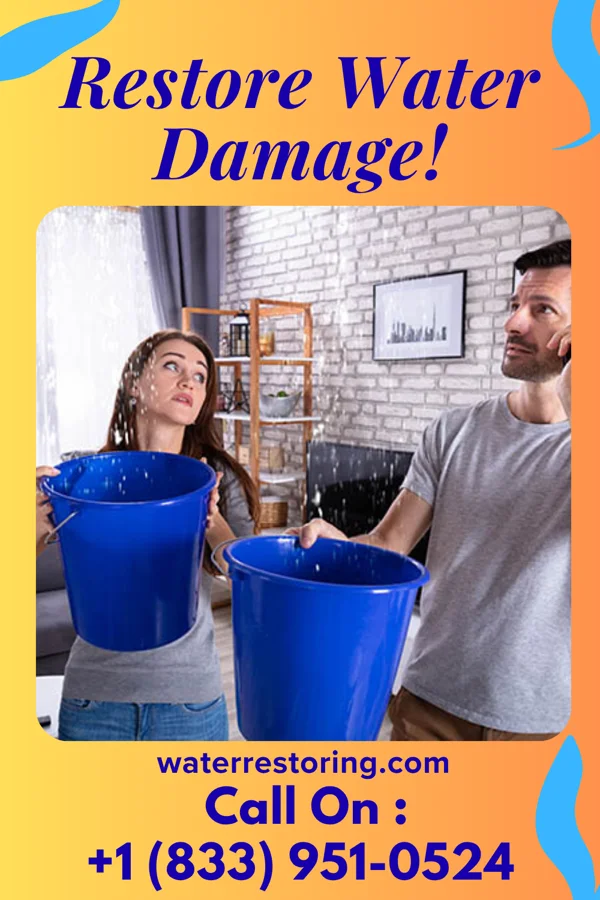 water restoration Ultimate Disaster Cleanup Experts Plaza